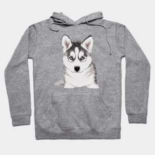 Cute Siberian Husky Drawing Hoodie